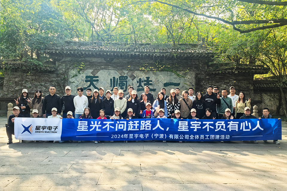 星宇电子(宁波)有限公司员工团队风采展示